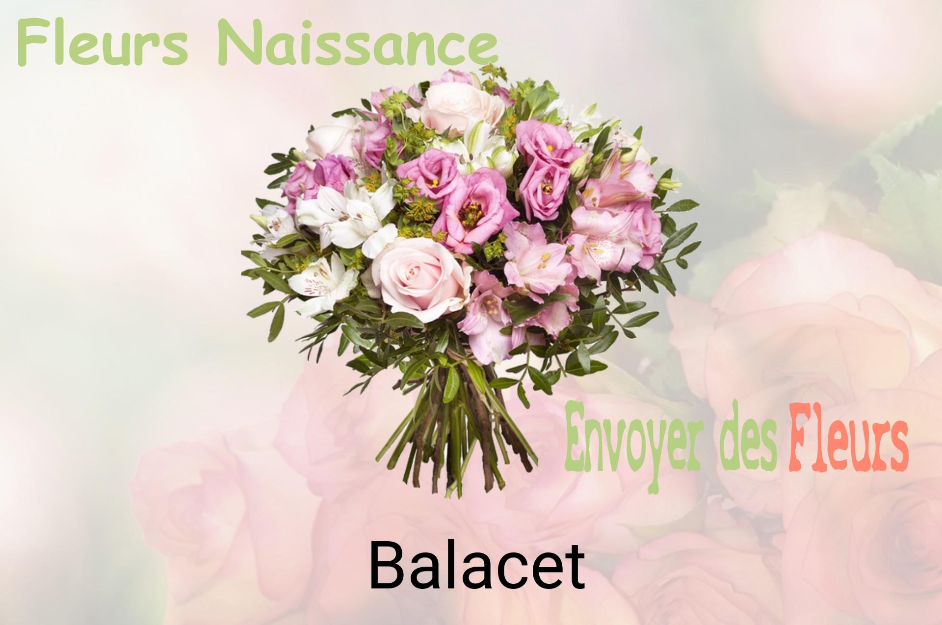 Bouquet de fleurs de naissance livré à Balacet